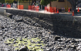 Image of current seawall along Beach Road