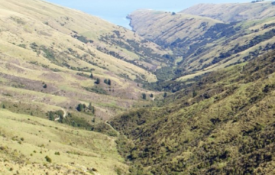 Overview Te Oka Reserve cropped