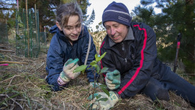Volunteer planting days on the Port Hills are popular and could be part of our approach to addressing climate change. 