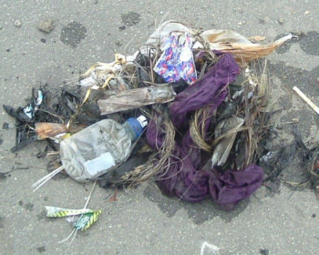 Clothing, plastic and a plastic bottle pulled out of a wastewater