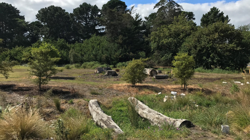 Area on Rawhiti Domain where a natural play area is proposed