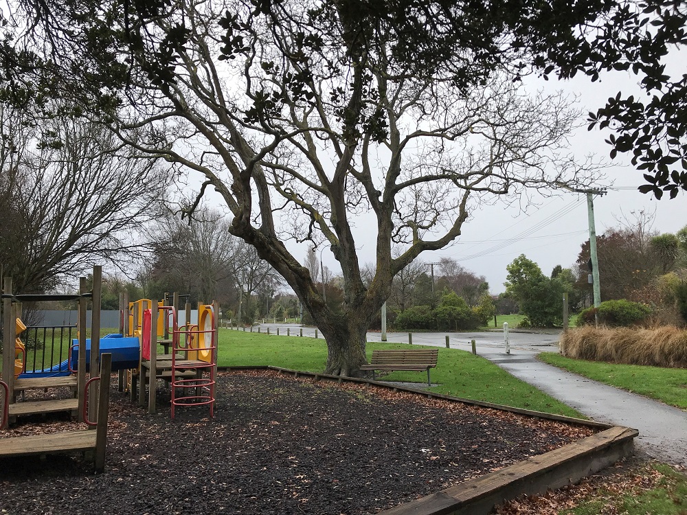 Playground in Walnut Tree Park