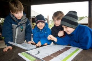 Children learning through action