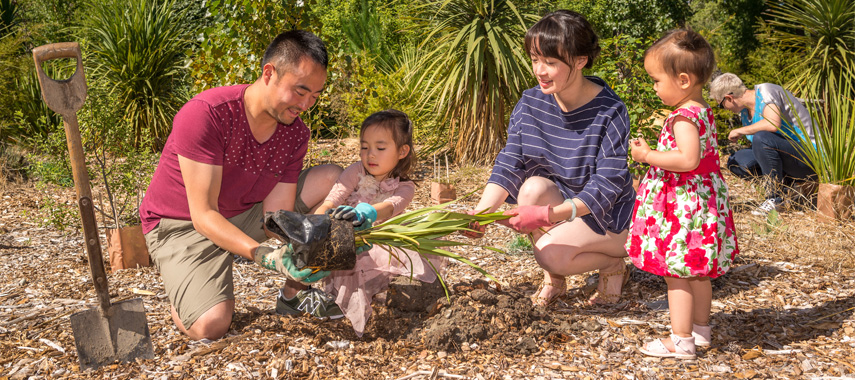 Zhu family planting at The Groynes. 