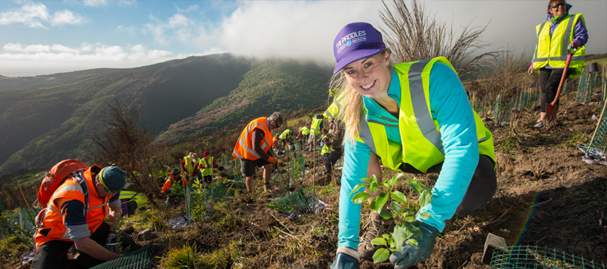 Port Hills volunteer planting; photo Neil MacBeth. 
