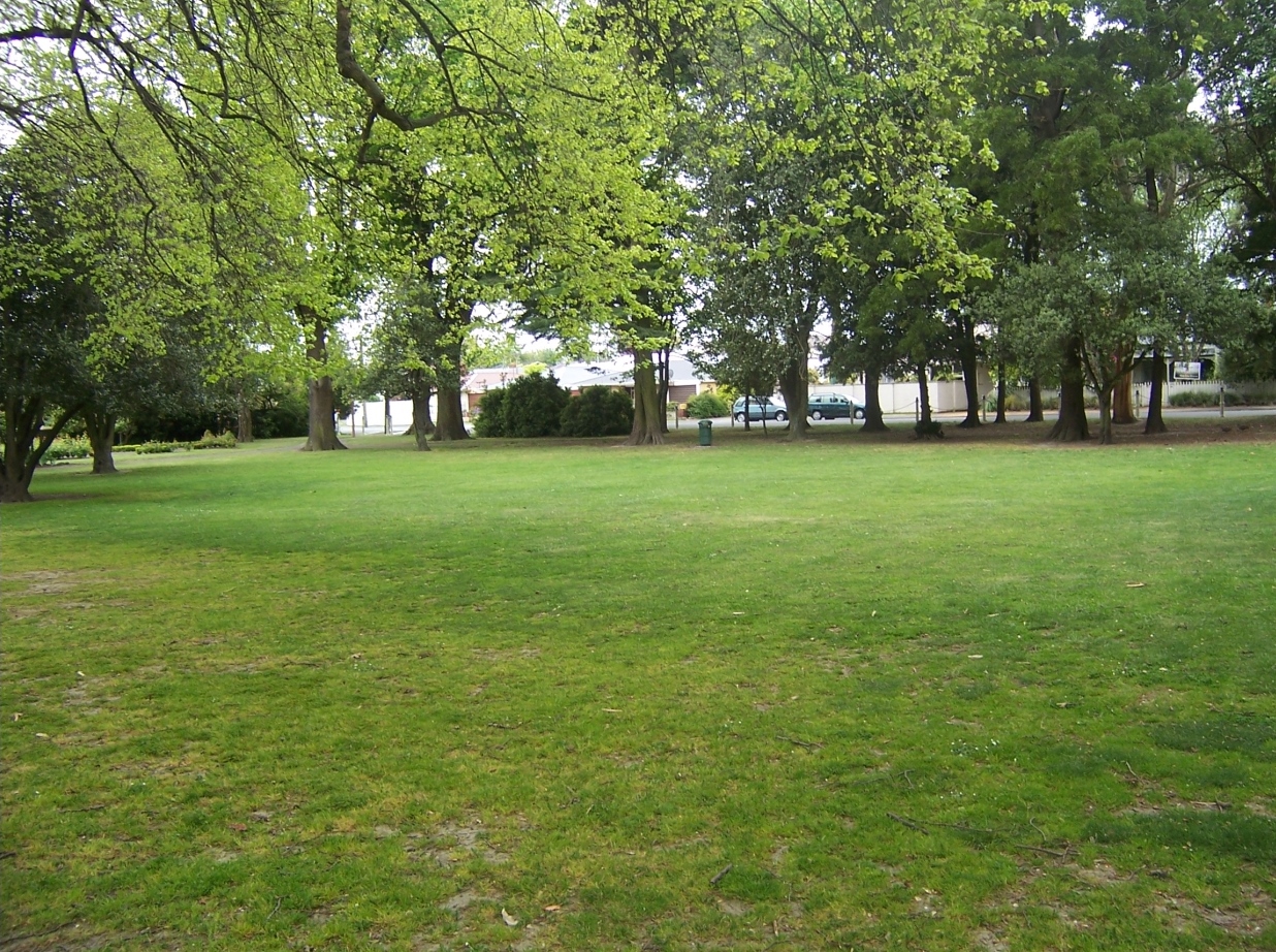 lawn surrounded by tall trees