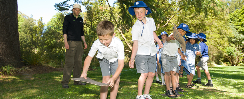 Students learning in a forest