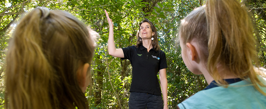 Students learning in the forest
