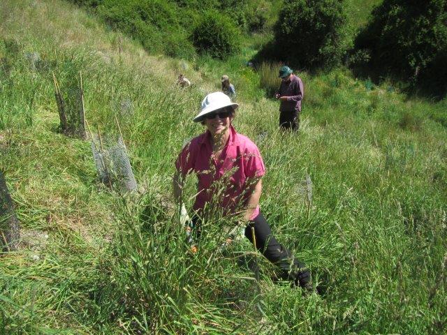 Volunteer Helen at work.