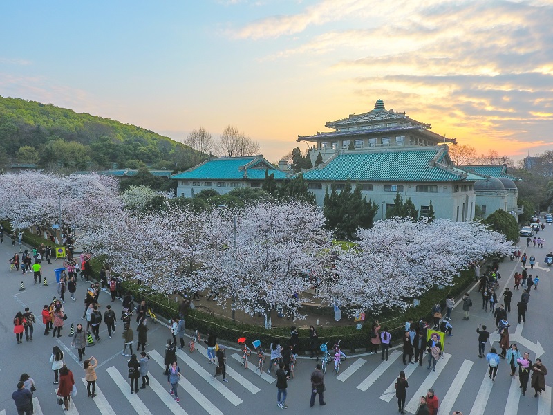 'Wuhan University